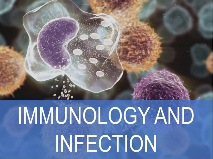 Immuno and infection photo