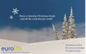 Eurolife wishes you a relaxing Christmas holiday and a prosperous new year!